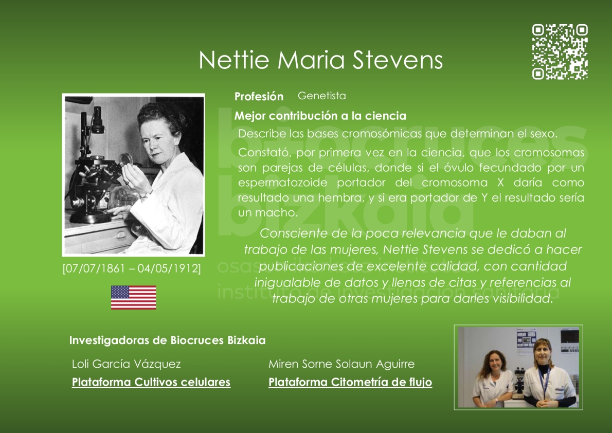 Nettie Stevens