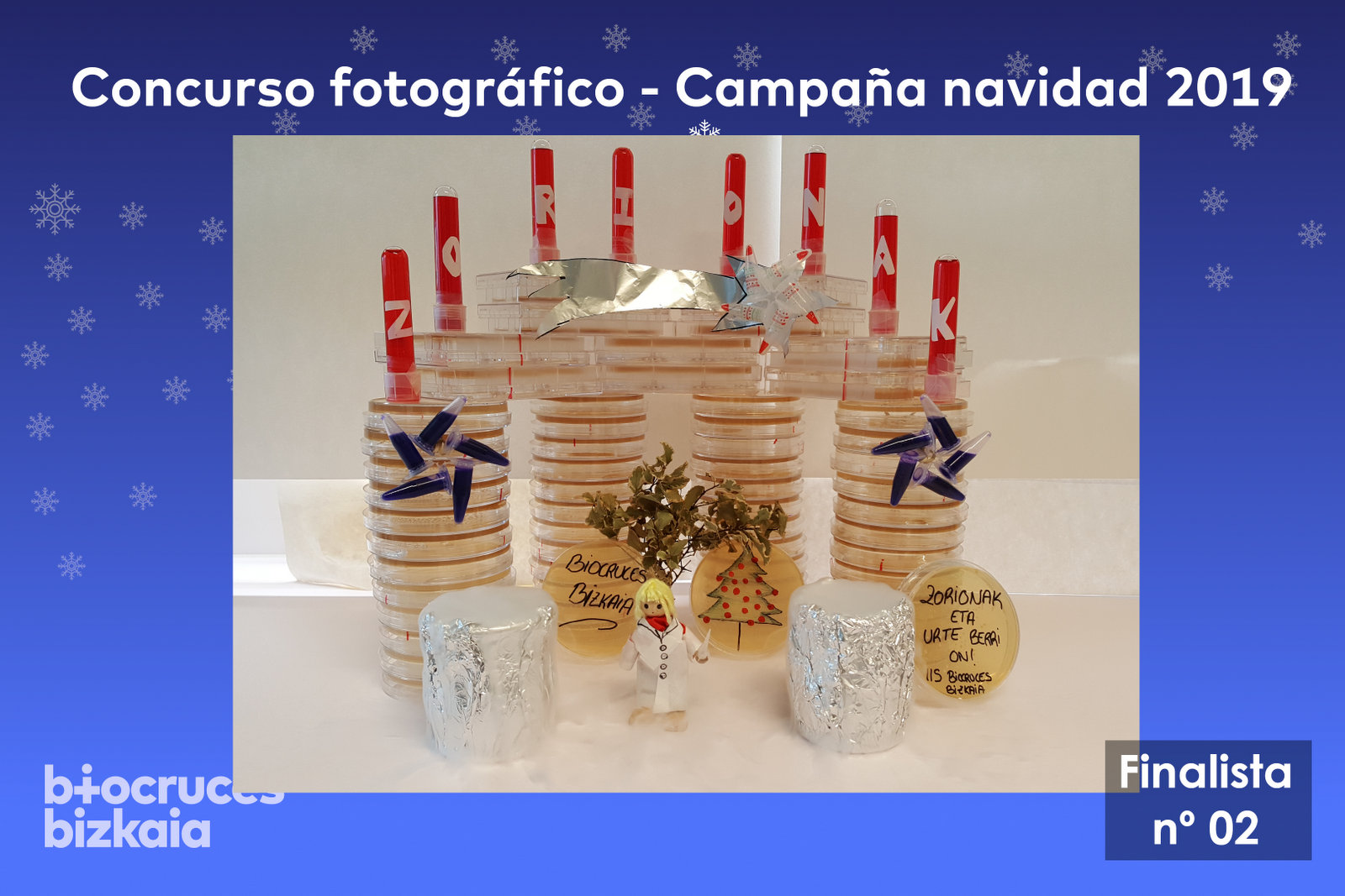 Responsive Image