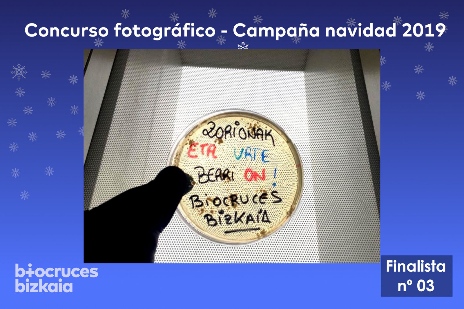 Responsive Image