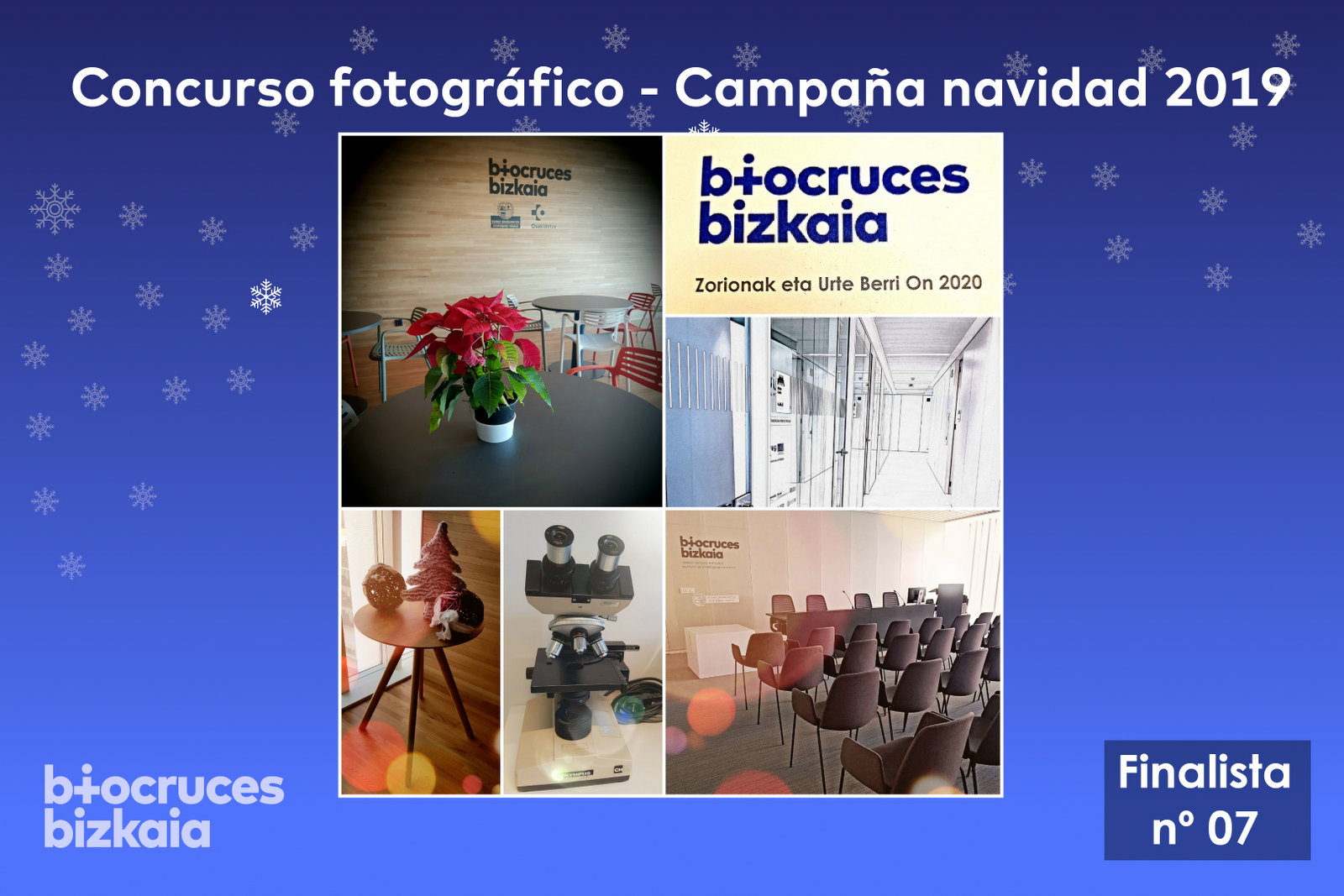 Responsive Image