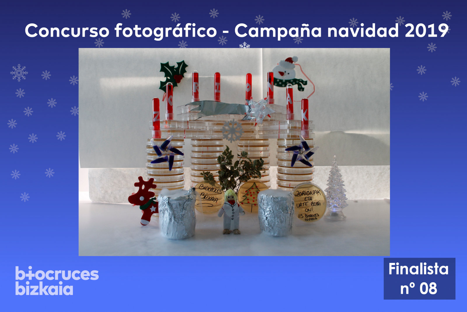 Responsive Image